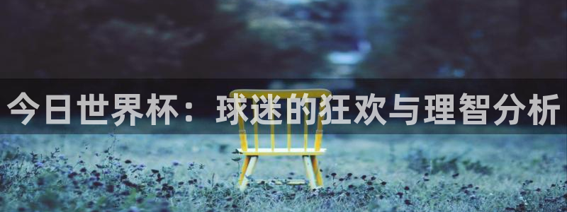 今日世界杯：球迷的狂欢与理智分析