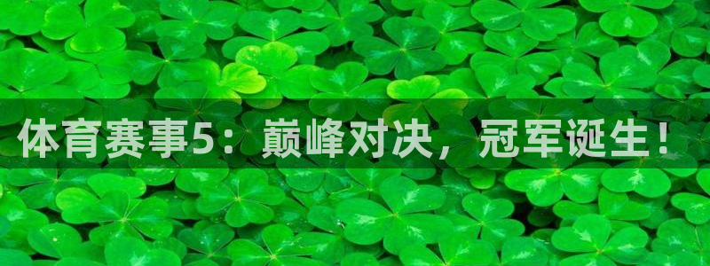 体育赛事5：巅峰对决，冠军诞生！