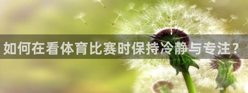 如何在看体育比赛时保持冷静与专注？