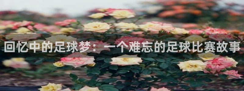 回忆中的足球梦：一个难忘的足球比赛故事