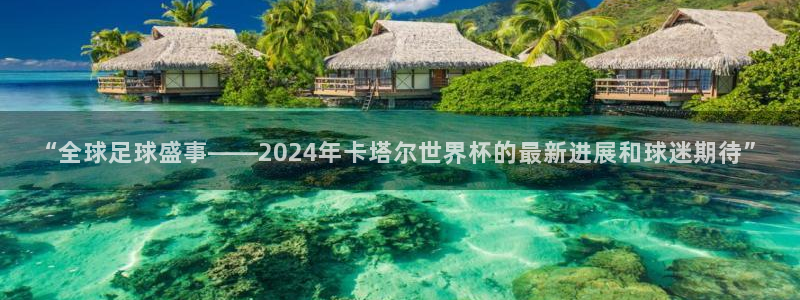 “全球足球盛事——2024年卡塔尔世界杯的最新进展和球迷期待”