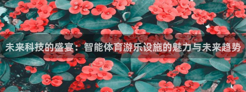未来科技的盛宴：智能体育游乐设施的魅力与未来趋势