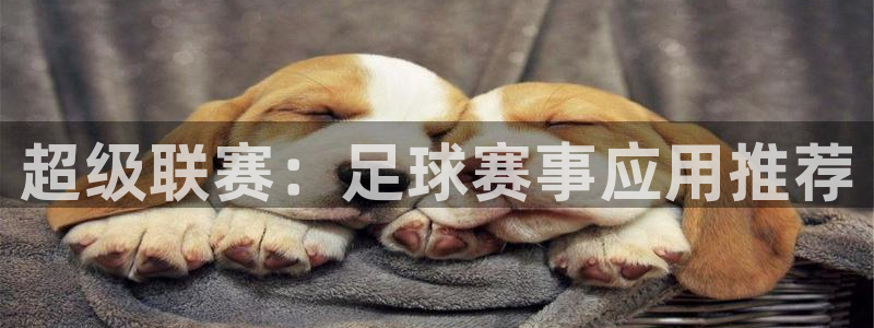 超级联赛：足球赛事应用推荐