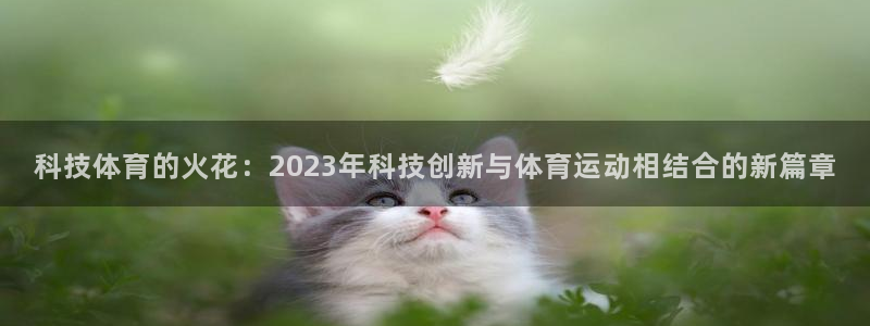科技体育的火花：2023年科技创新与体育运动相结合的新篇章